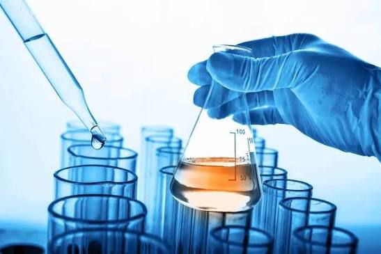 whatsapp image 2026 02 08 at 11.35.44 am